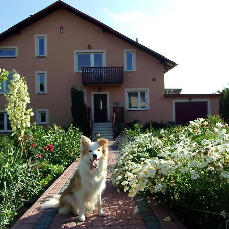 Agroturystyka U Basi Wola Kalinowska Buitenkant foto