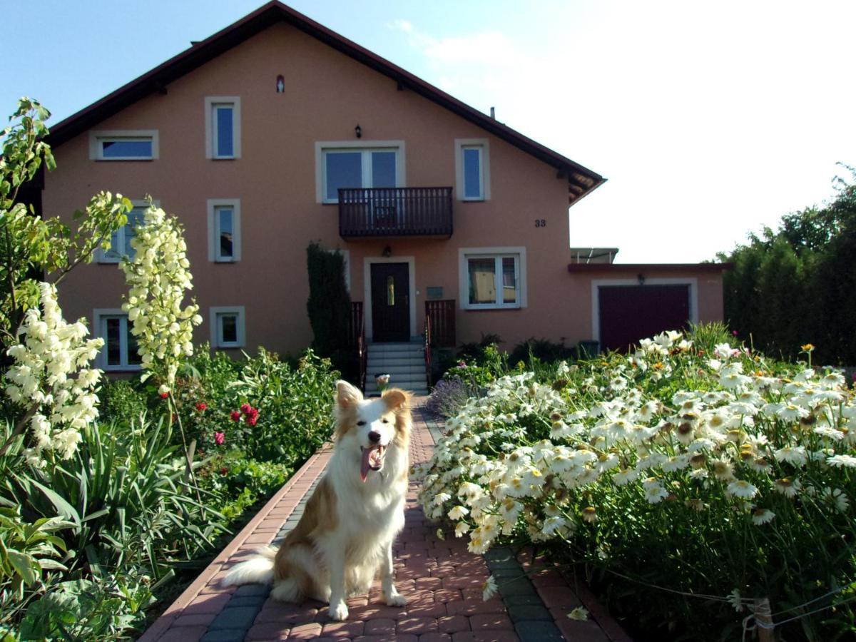 Agroturystyka U Basi Wola Kalinowska Buitenkant foto