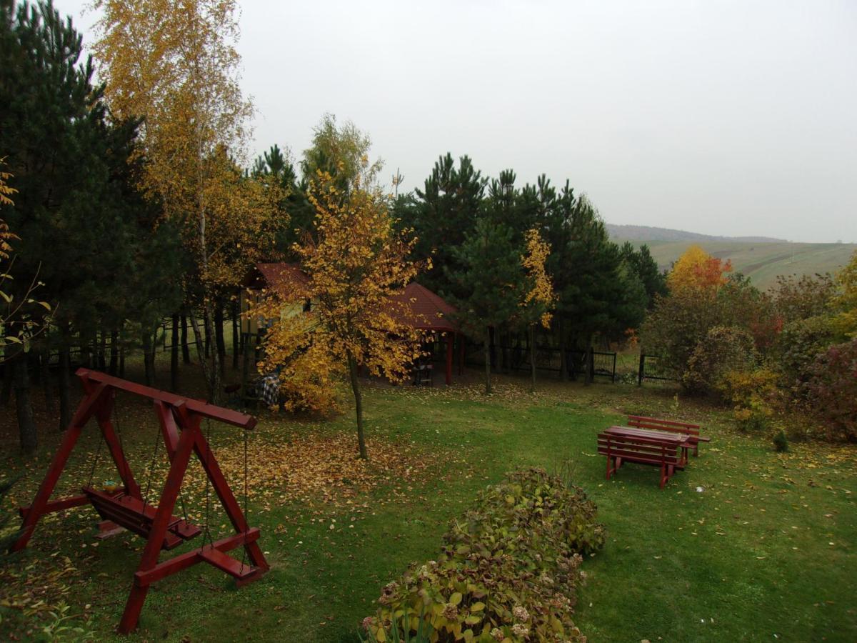 Agroturystyka U Basi Wola Kalinowska Buitenkant foto
